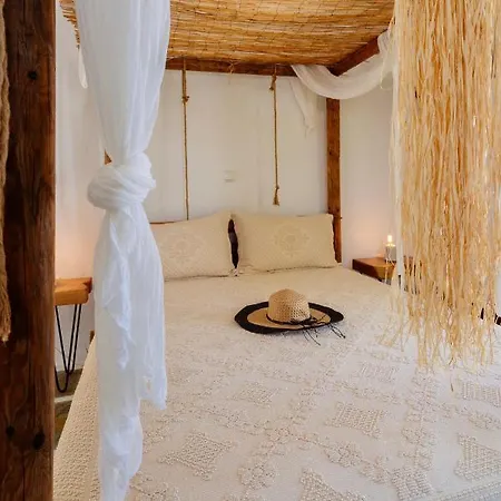 Πανσιόν Stenosa