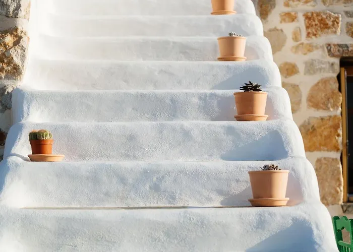 Stenosa דונוסה